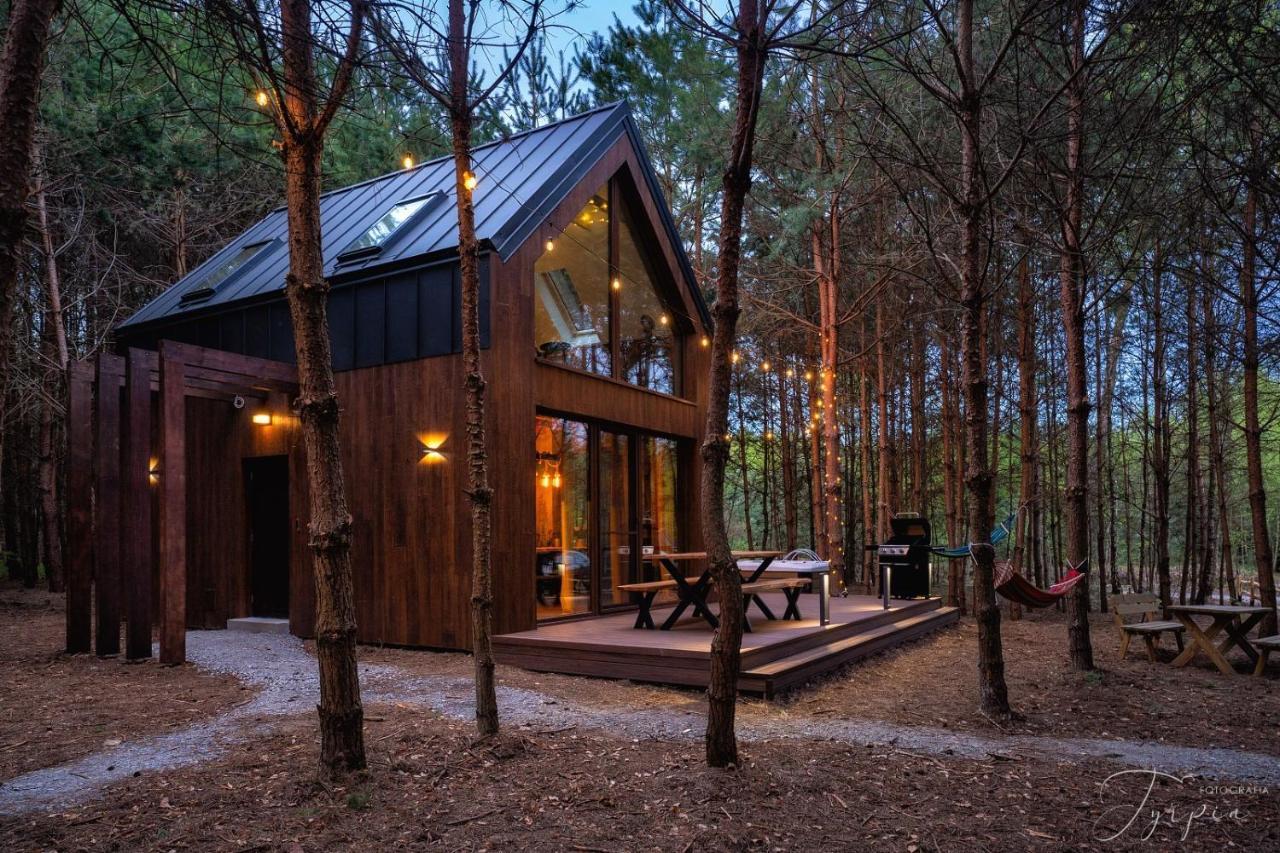 Dziupla House Βίλα Czarna  Εξωτερικό φωτογραφία