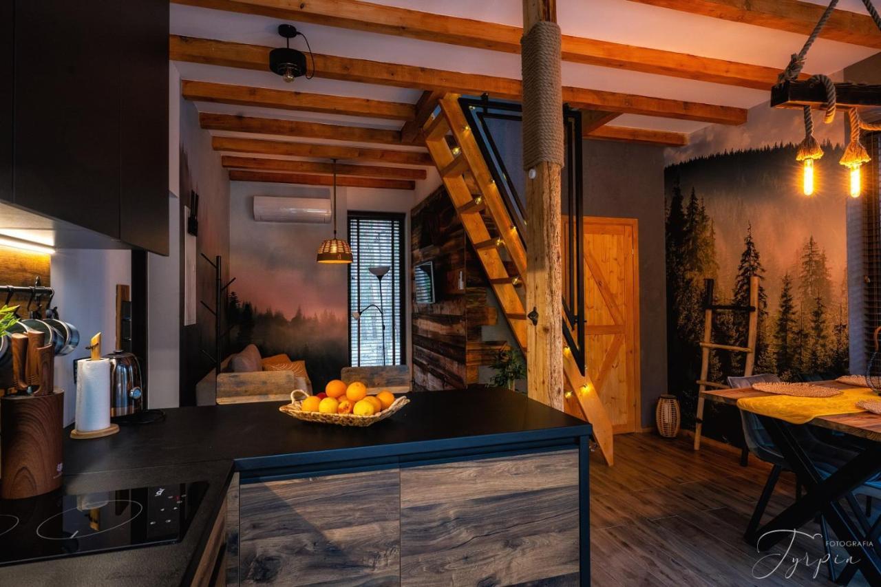 Dziupla House Βίλα Czarna  Εξωτερικό φωτογραφία