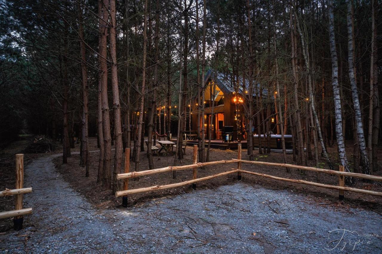 Dziupla House Βίλα Czarna  Εξωτερικό φωτογραφία